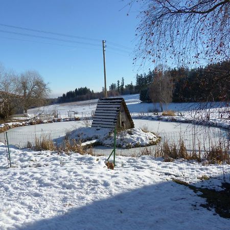 Wellnesshotel Schiesselhof Grafenhausen Kültér fotó