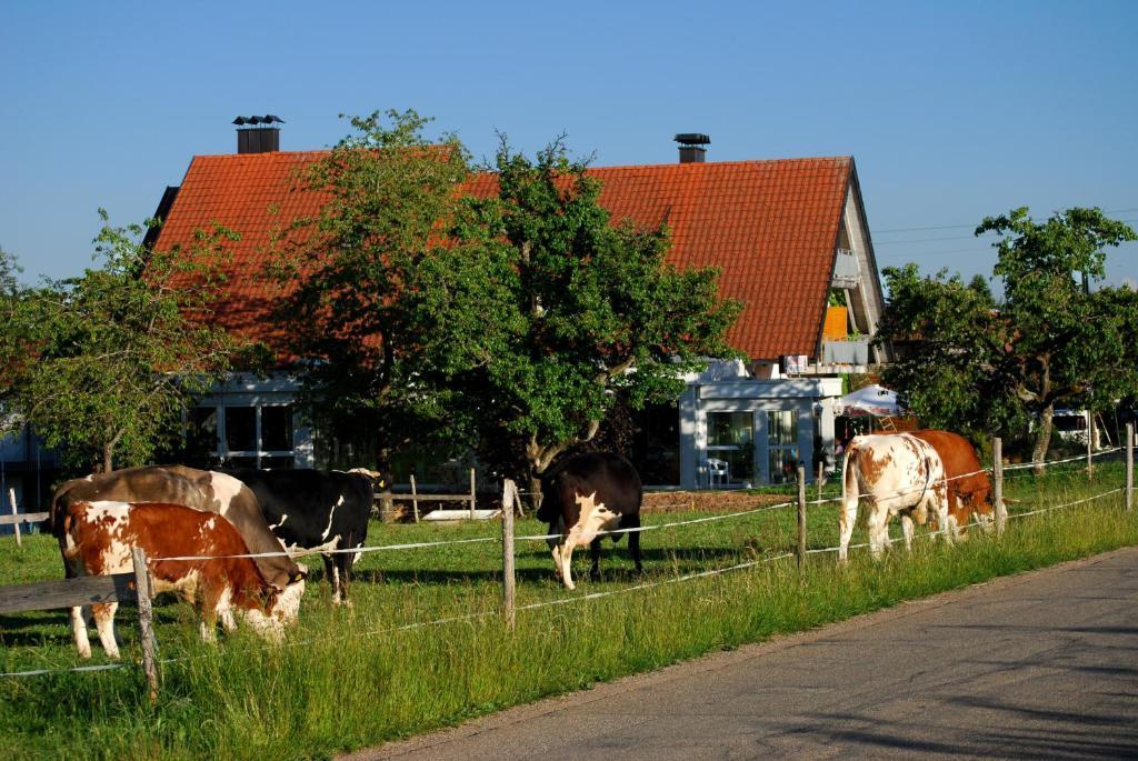 Wellnesshotel Schiesselhof Grafenhausen Szoba fotó