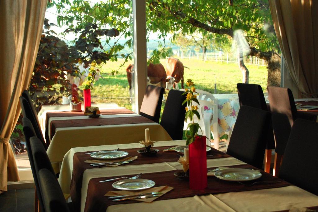 Wellnesshotel Schiesselhof Grafenhausen Szoba fotó