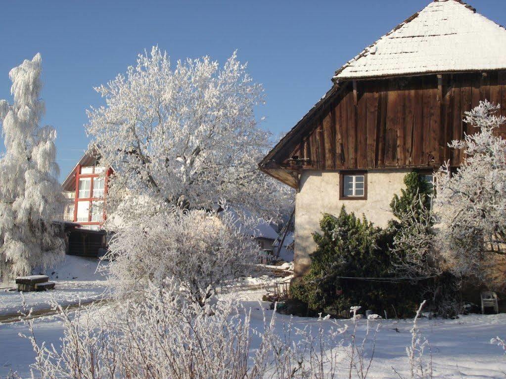 Wellnesshotel Schiesselhof Grafenhausen Kültér fotó